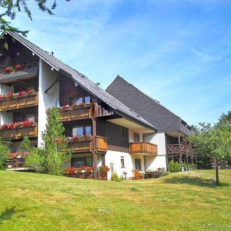 C1 Albmatte-Fewo Sauna, Hallenbad Aussenbecken Massagen Nebenan Menzenschwand-Hinterdorf 외부 사진