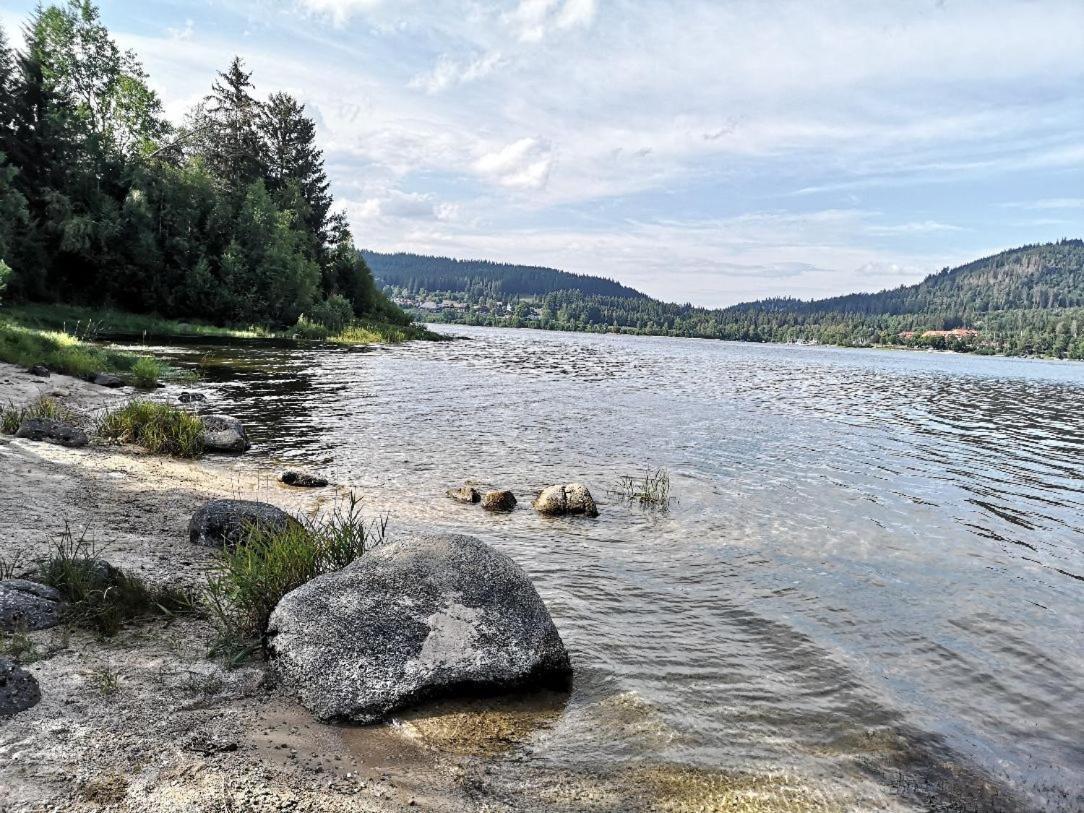 C1 Albmatte-Fewo Sauna, Hallenbad Aussenbecken Massagen Nebenan Menzenschwand-Hinterdorf 외부 사진
