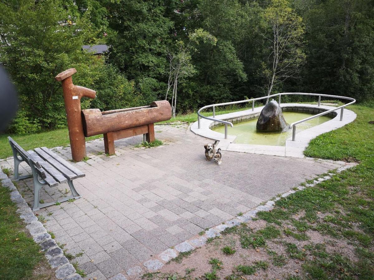 C1 Albmatte-Fewo Sauna, Hallenbad Aussenbecken Massagen Nebenan Menzenschwand-Hinterdorf 외부 사진