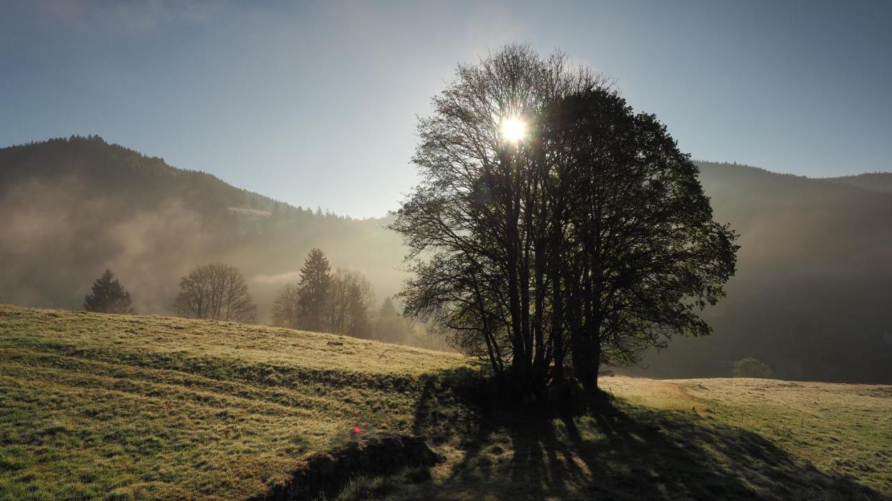 C1 Albmatte-Fewo Sauna, Hallenbad Aussenbecken Massagen Nebenan Menzenschwand-Hinterdorf 외부 사진