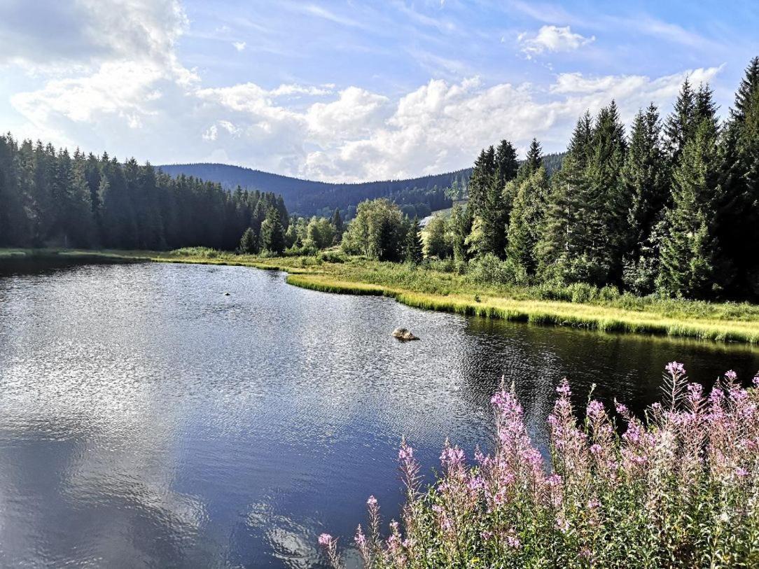 C1 Albmatte-Fewo Sauna, Hallenbad Aussenbecken Massagen Nebenan Menzenschwand-Hinterdorf 외부 사진