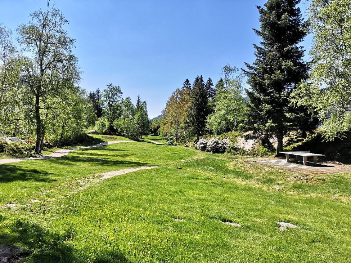 C1 Albmatte-Fewo Sauna, Hallenbad Aussenbecken Massagen Nebenan Menzenschwand-Hinterdorf 외부 사진