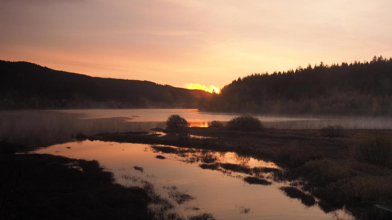 C1 Albmatte-Fewo Sauna, Hallenbad Aussenbecken Massagen Nebenan Menzenschwand-Hinterdorf 외부 사진