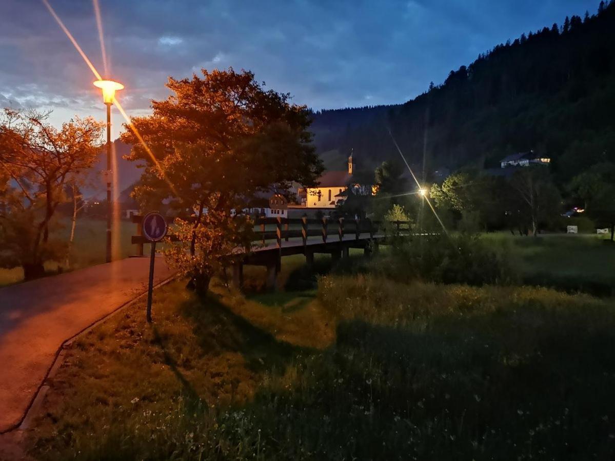 C1 Albmatte-Fewo Sauna, Hallenbad Aussenbecken Massagen Nebenan Menzenschwand-Hinterdorf 외부 사진