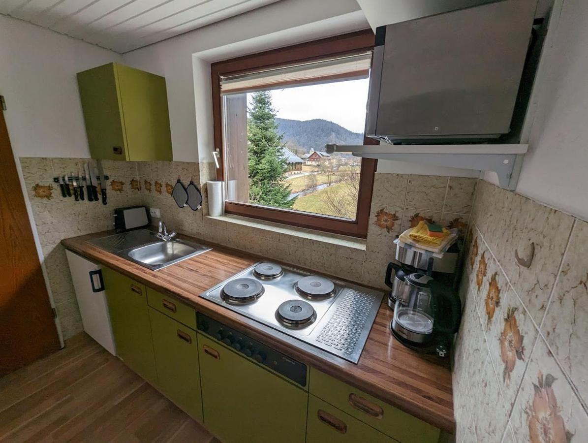 C1 Albmatte-Fewo Sauna, Hallenbad Aussenbecken Massagen Nebenan Menzenschwand-Hinterdorf 외부 사진