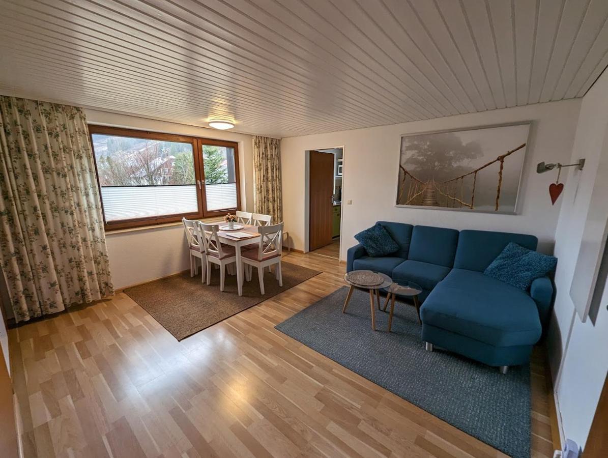 C1 Albmatte-Fewo Sauna, Hallenbad Aussenbecken Massagen Nebenan Menzenschwand-Hinterdorf 외부 사진