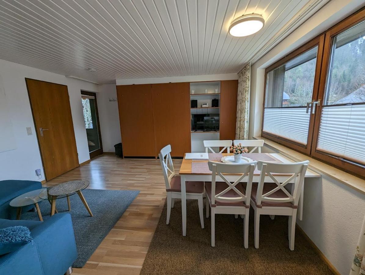 C1 Albmatte-Fewo Sauna, Hallenbad Aussenbecken Massagen Nebenan Menzenschwand-Hinterdorf 외부 사진