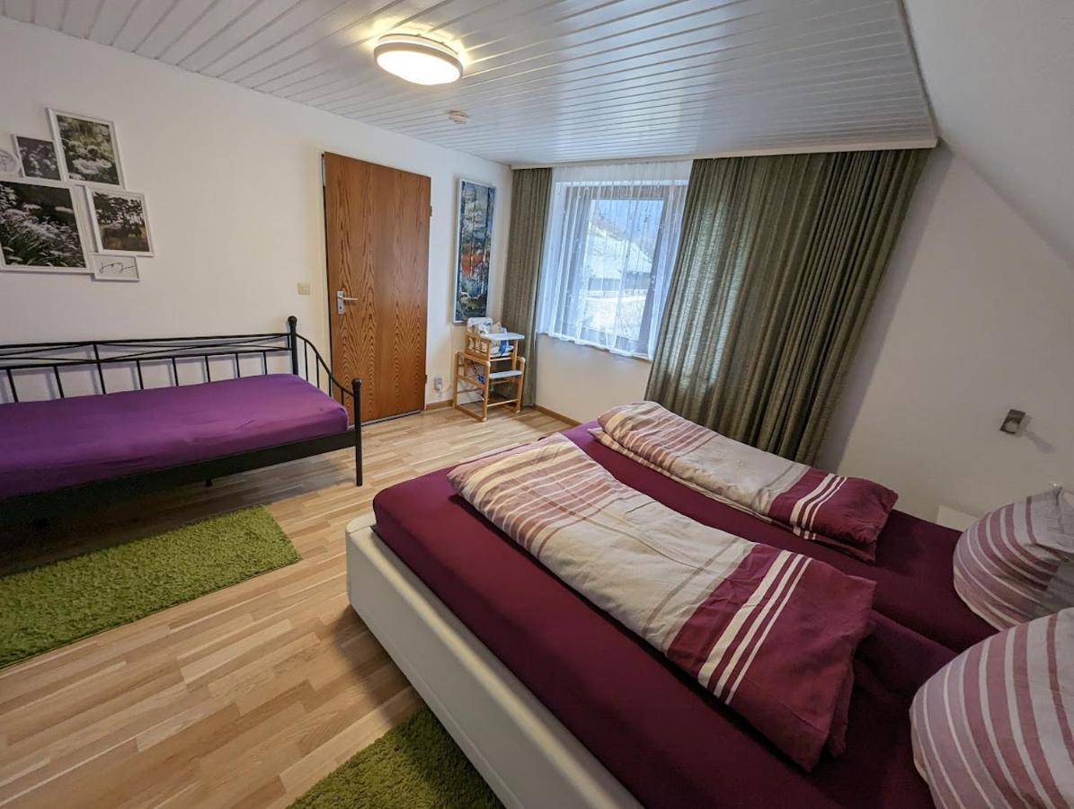C1 Albmatte-Fewo Sauna, Hallenbad Aussenbecken Massagen Nebenan Menzenschwand-Hinterdorf 외부 사진