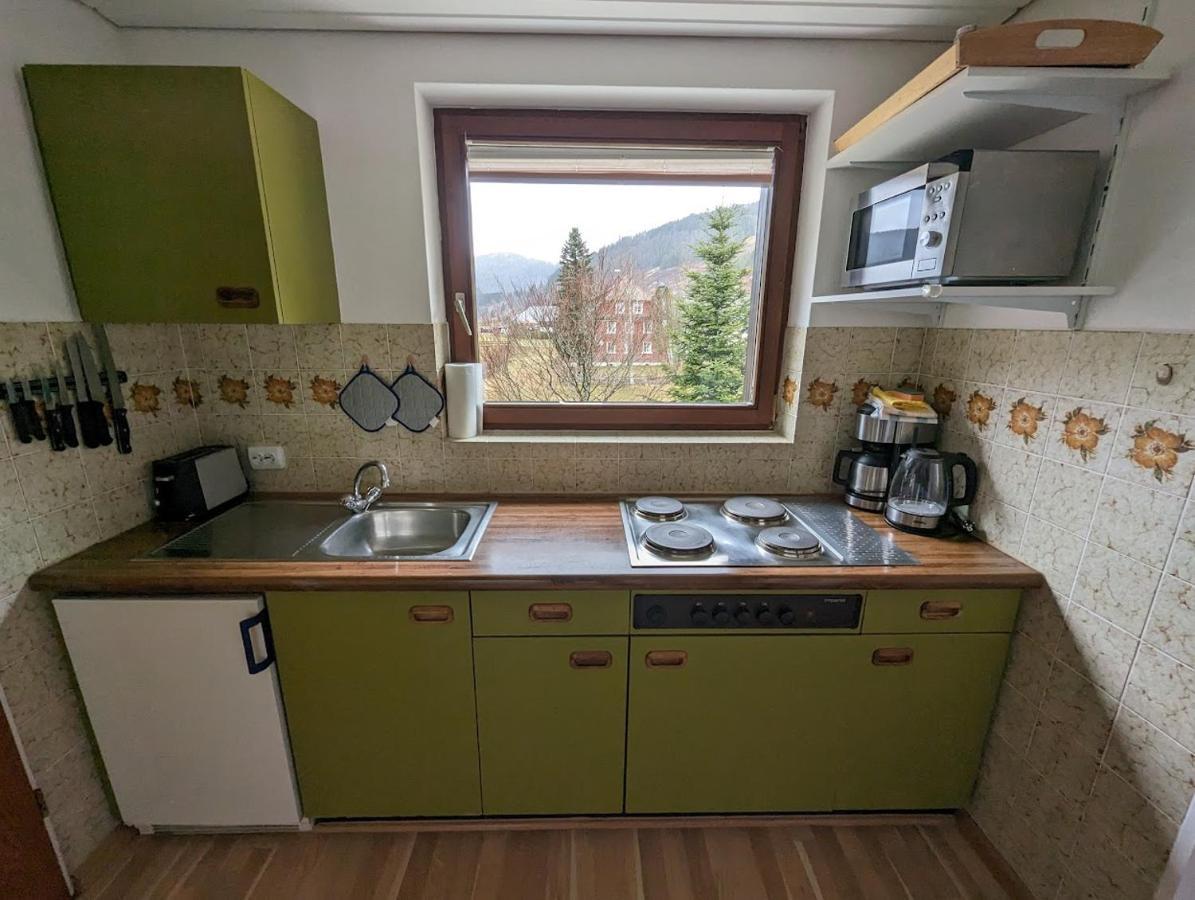 C1 Albmatte-Fewo Sauna, Hallenbad Aussenbecken Massagen Nebenan Menzenschwand-Hinterdorf 외부 사진