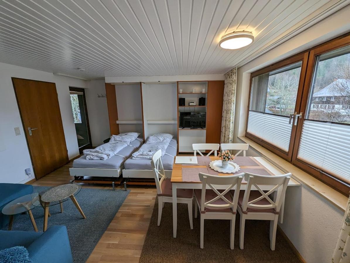 C1 Albmatte-Fewo Sauna, Hallenbad Aussenbecken Massagen Nebenan Menzenschwand-Hinterdorf 외부 사진