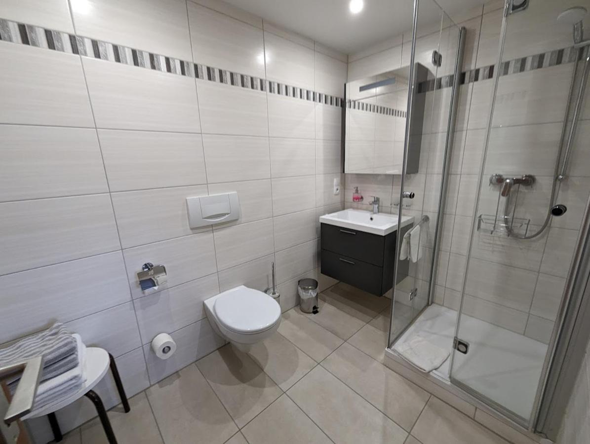 C1 Albmatte-Fewo Sauna, Hallenbad Aussenbecken Massagen Nebenan Menzenschwand-Hinterdorf 외부 사진