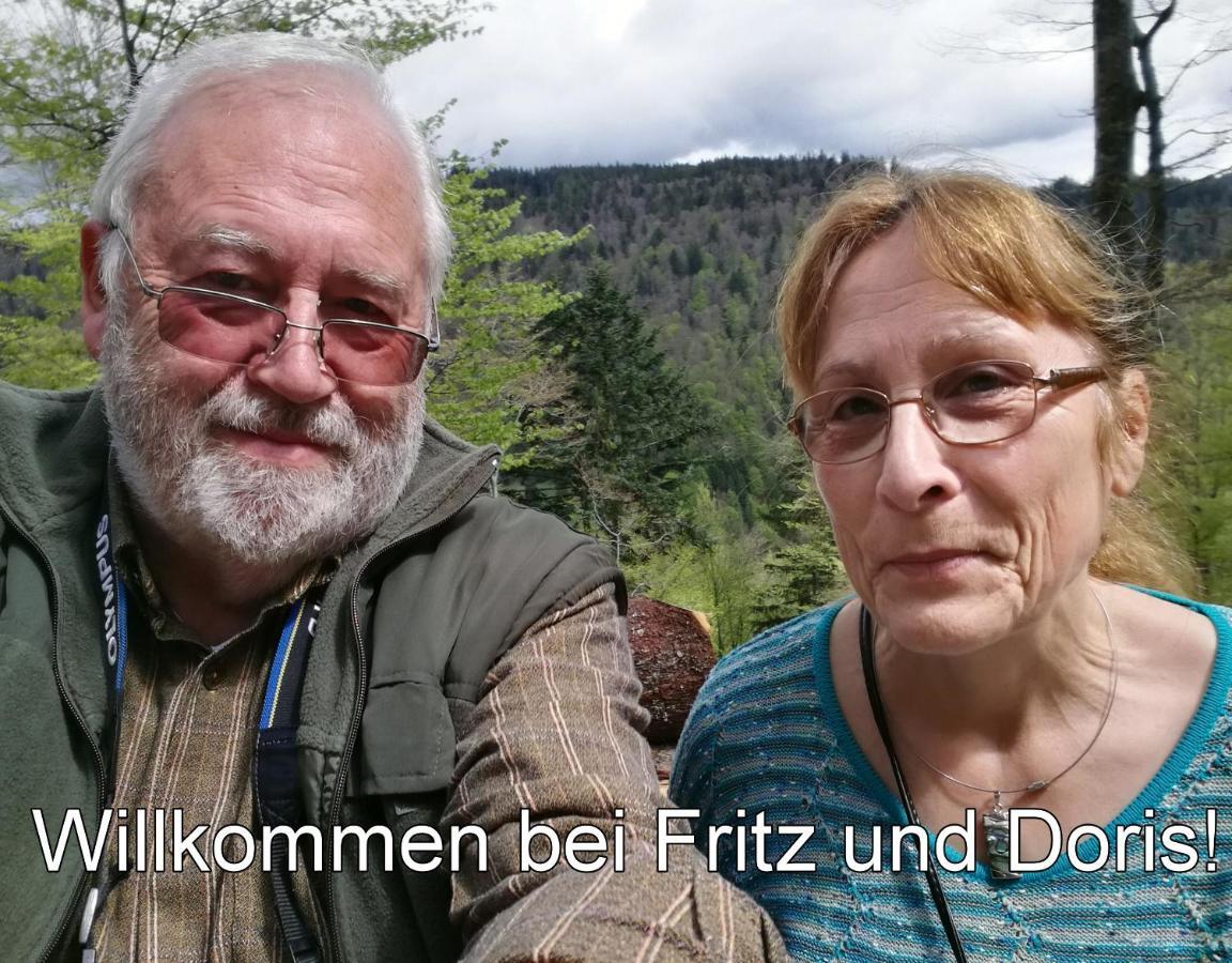 C1 Albmatte-Fewo Sauna, Hallenbad Aussenbecken Massagen Nebenan Menzenschwand-Hinterdorf 외부 사진