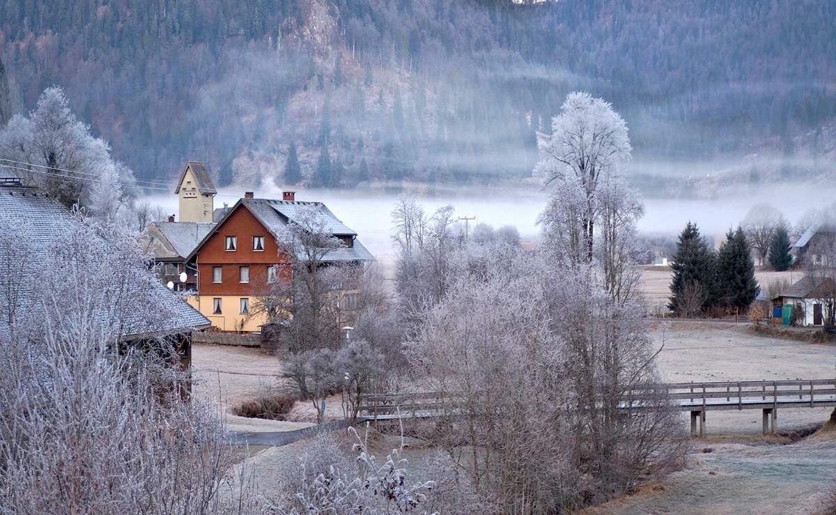 C1 Albmatte-Fewo Sauna, Hallenbad Aussenbecken Massagen Nebenan Menzenschwand-Hinterdorf 외부 사진