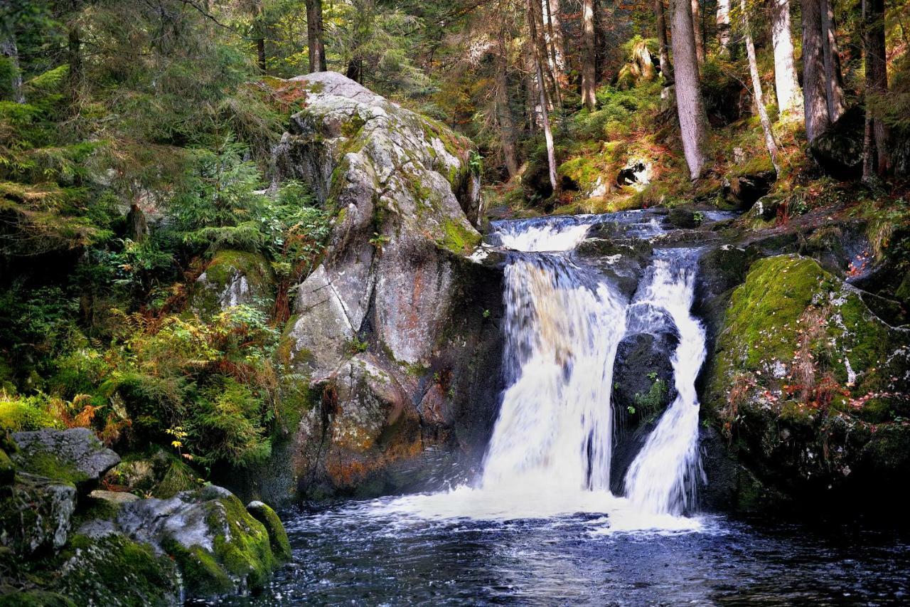 C1 Albmatte-Fewo Sauna, Hallenbad Aussenbecken Massagen Nebenan Menzenschwand-Hinterdorf 외부 사진