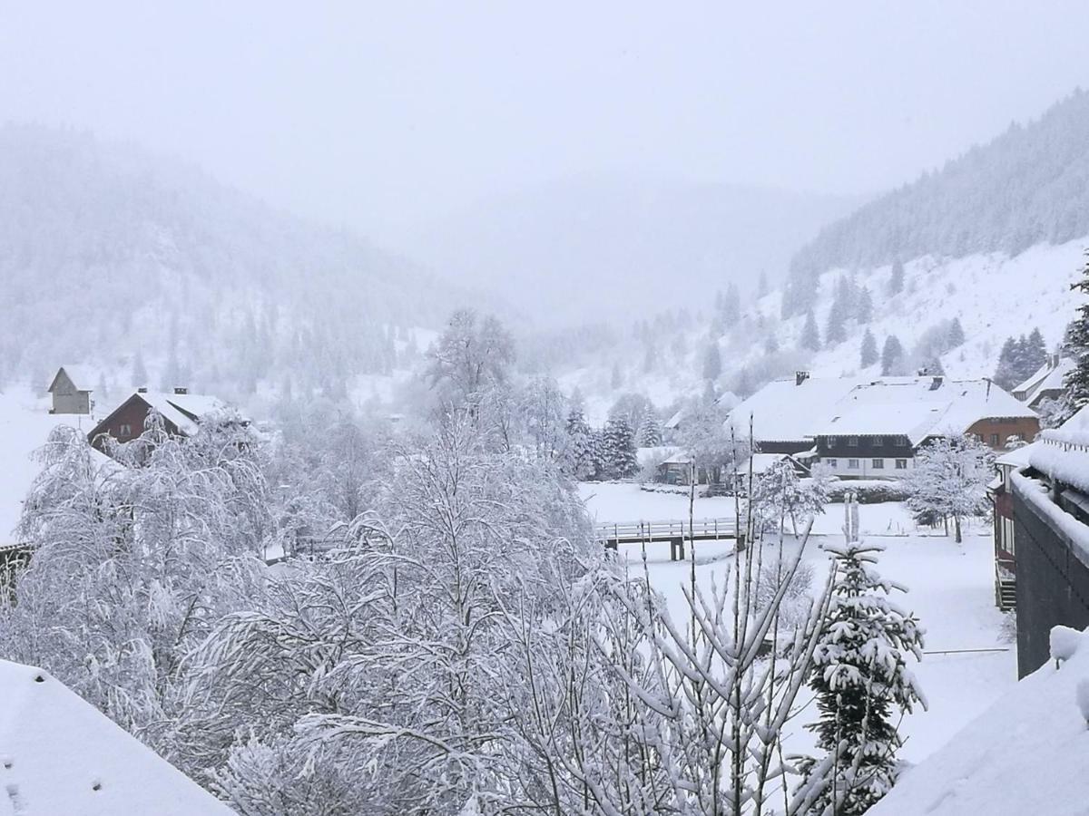 C1 Albmatte-Fewo Sauna, Hallenbad Aussenbecken Massagen Nebenan Menzenschwand-Hinterdorf 외부 사진