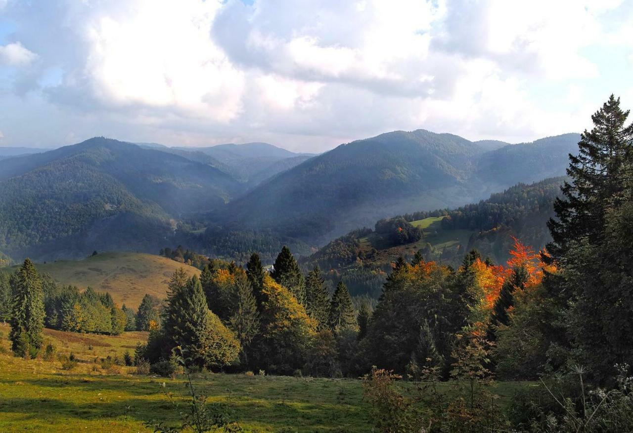 C1 Albmatte-Fewo Sauna, Hallenbad Aussenbecken Massagen Nebenan Menzenschwand-Hinterdorf 외부 사진