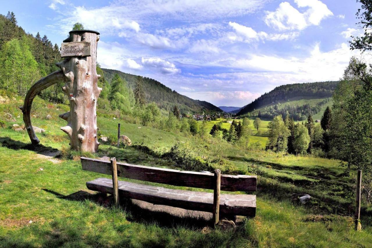 C1 Albmatte-Fewo Sauna, Hallenbad Aussenbecken Massagen Nebenan Menzenschwand-Hinterdorf 외부 사진