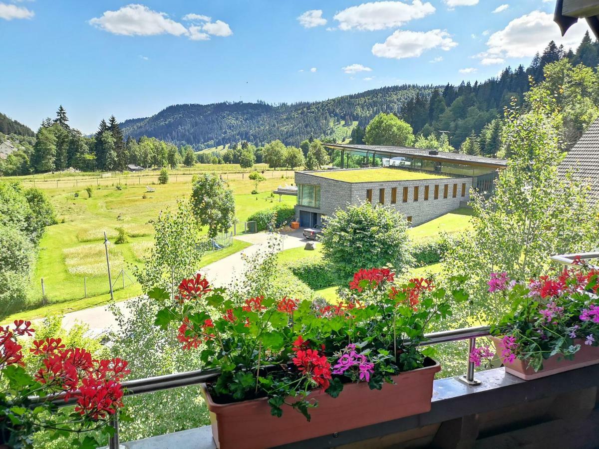 C1 Albmatte-Fewo Sauna, Hallenbad Aussenbecken Massagen Nebenan Menzenschwand-Hinterdorf 외부 사진