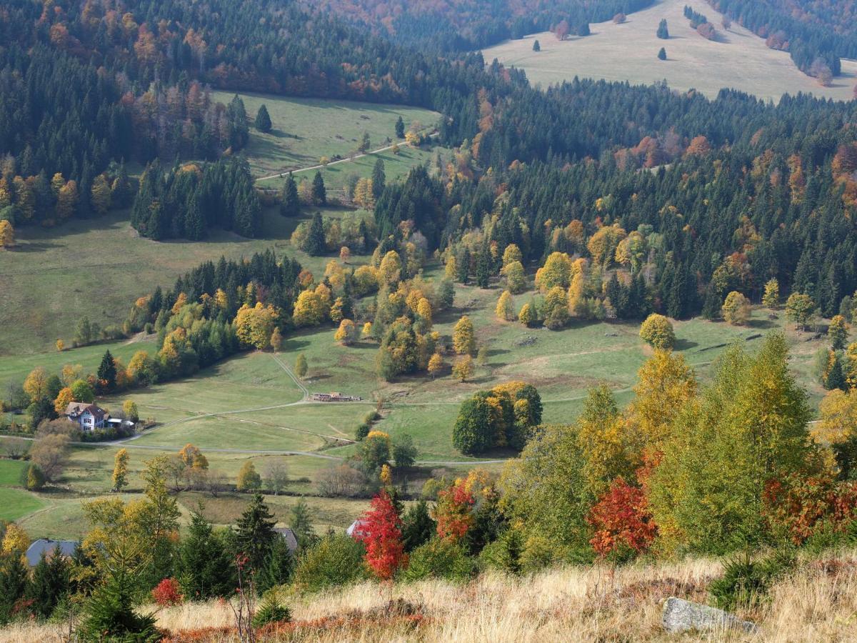 C1 Albmatte-Fewo Sauna, Hallenbad Aussenbecken Massagen Nebenan Menzenschwand-Hinterdorf 외부 사진